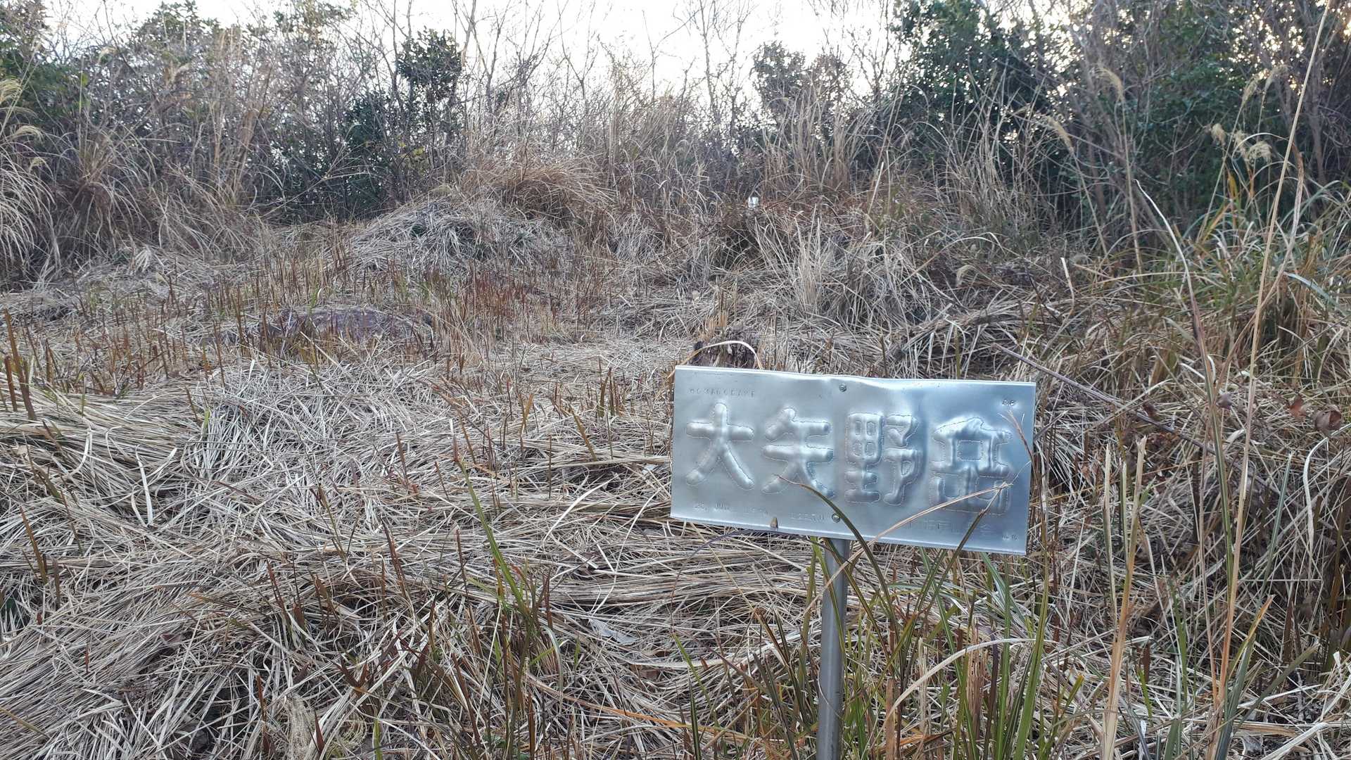 山頂～
展望なし 藪じゃないだけありがたい😃