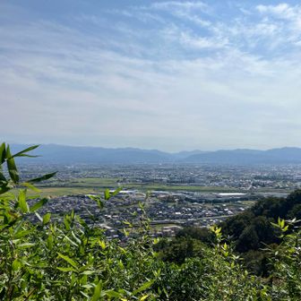 お城からの景色🏯