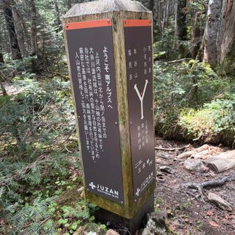 JUZAN！！南ア南部に戻ってきた！！とテンションが上がる