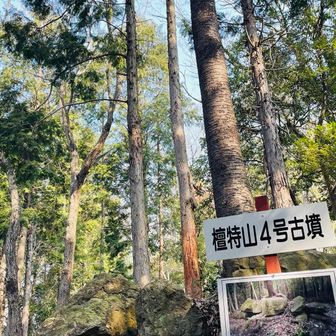 檀特山は古墳が多い山です。
ここも手入れがされており、登りやすい山です👍