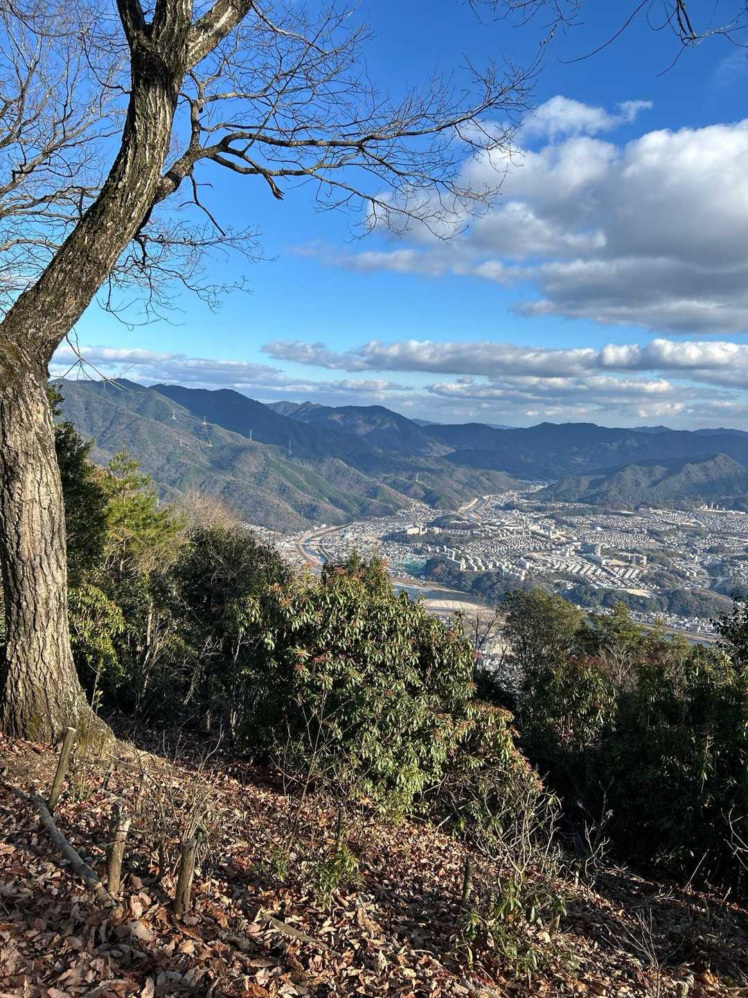 通った学校も見える🥹