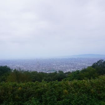 中央部に花園ラグビー場、その向こうにあべのハルカスが見えます