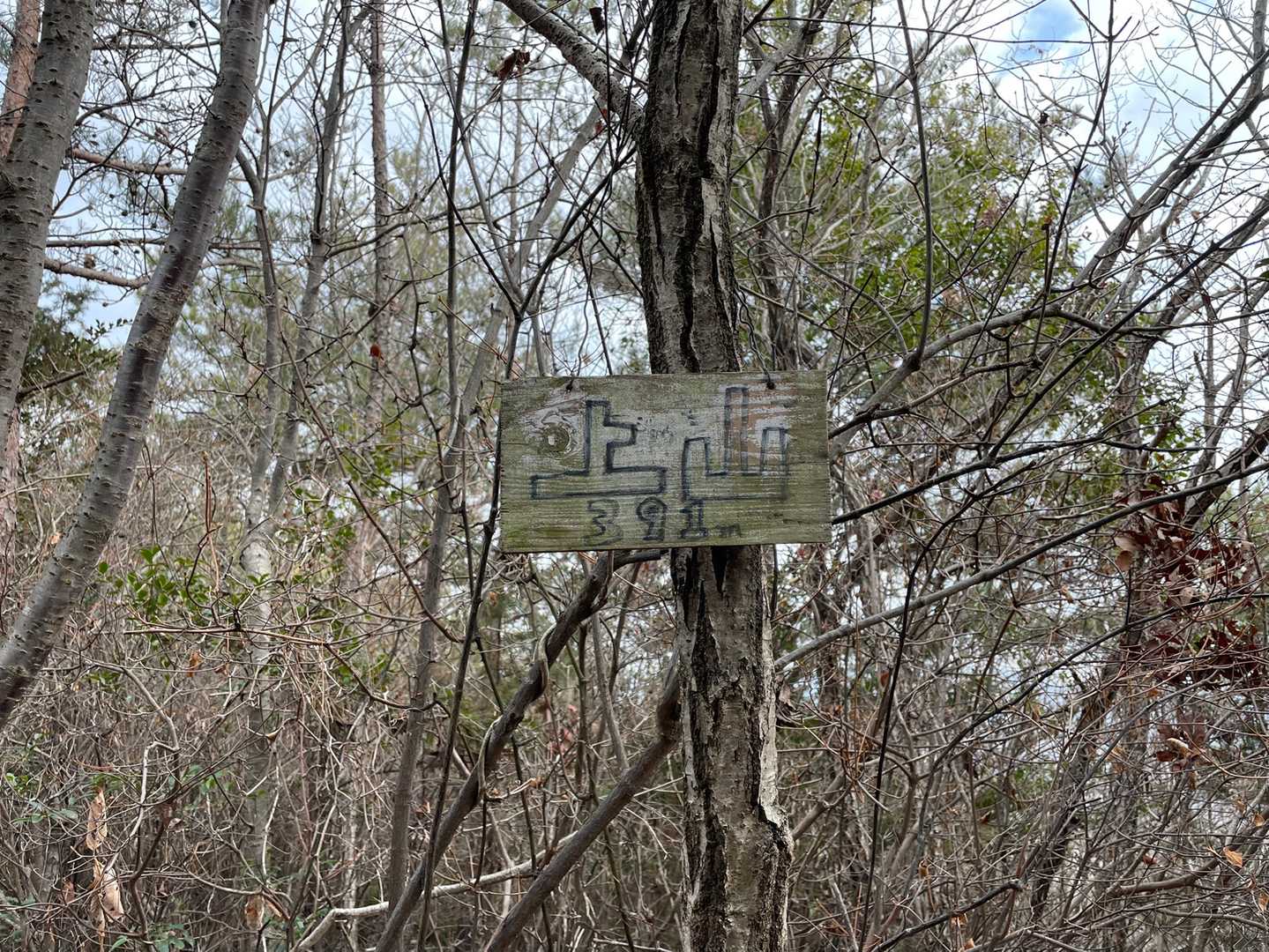 上山⛰山頂