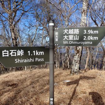 前大室。もうヘロヘロです。登りベースきつかった💦