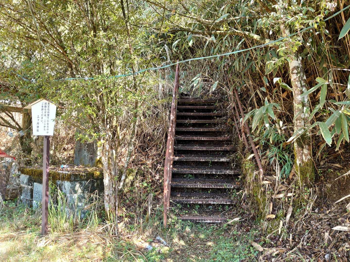 これを登ればいいのに、🚻の脇を進んでしまい、プチ遭難🥴