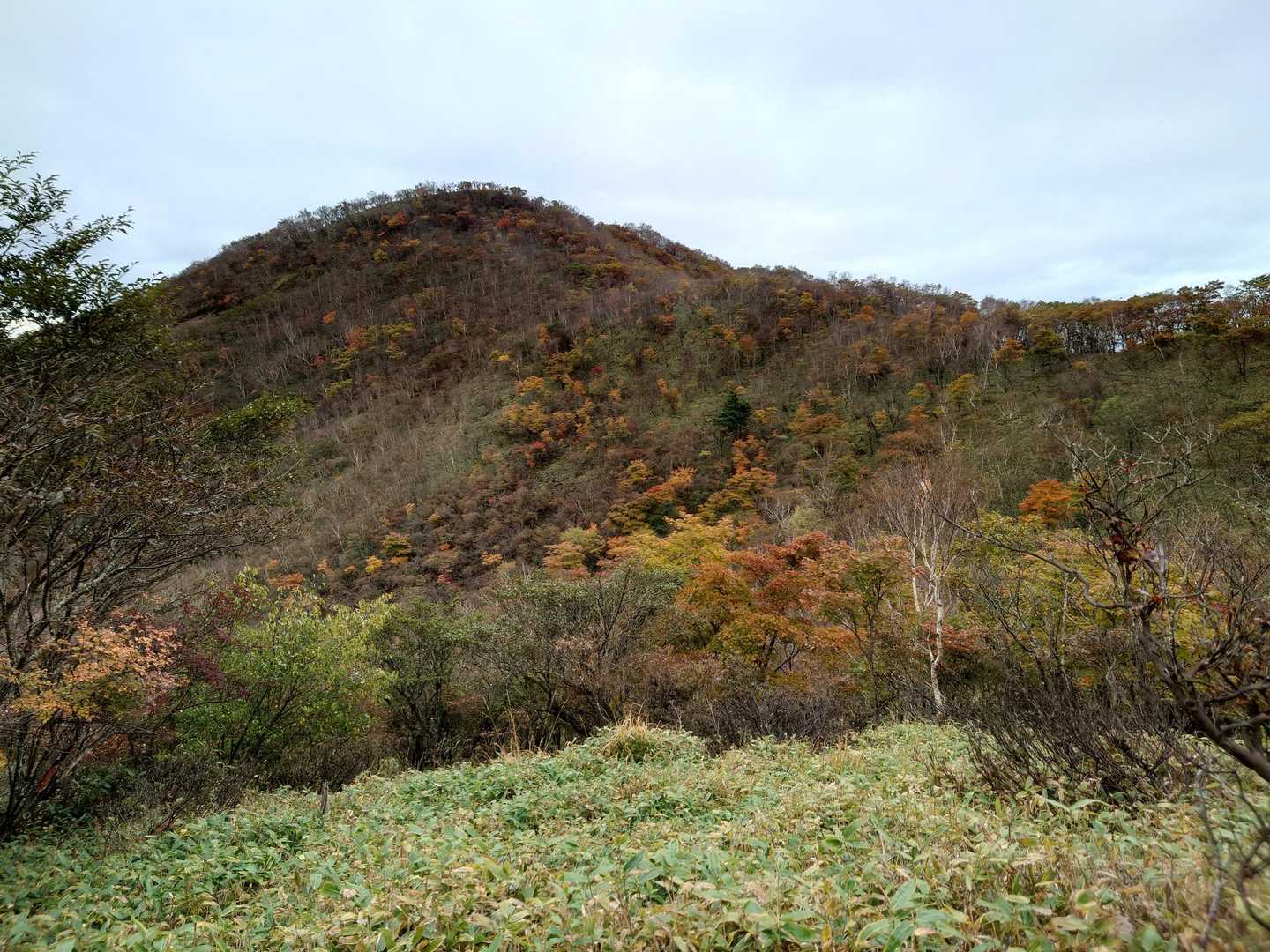 赤城駒ヶ岳登山口-駒ヶ岳-黒檜山 往復コースの写真