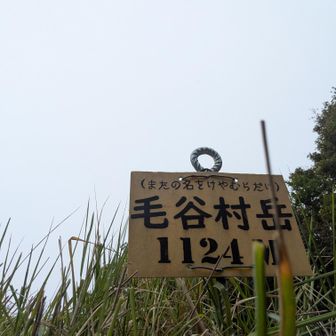 このまま毛谷村の沢を調べたい気分。公共交通機関も視野に入れねば。