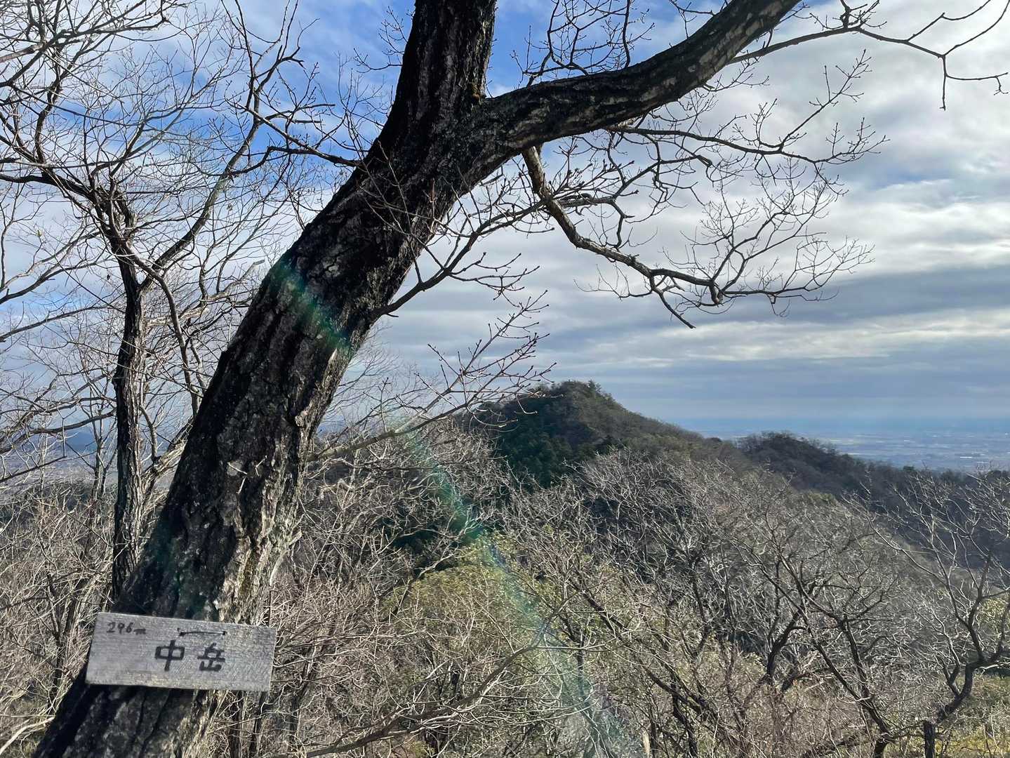 大坊山-越床峠-妙義山 往復コースの写真