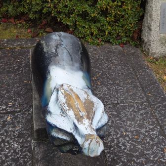 なすのこしかけ。腰を掛けて願掛け🙏