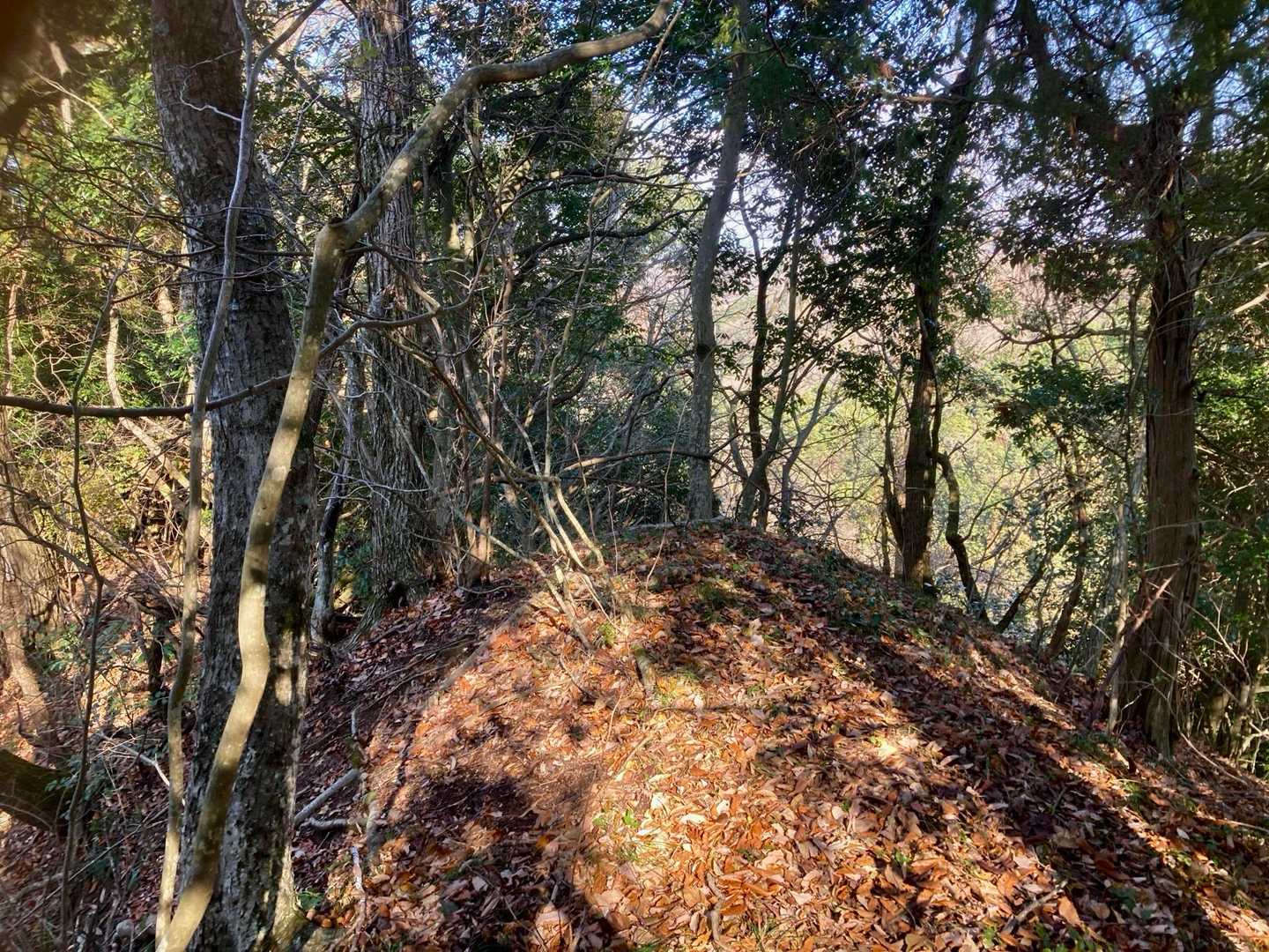 程なく行き止まり🤔
左右に何となくの道？はあるので
左行きます。