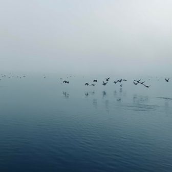 お気に入りの1枚w