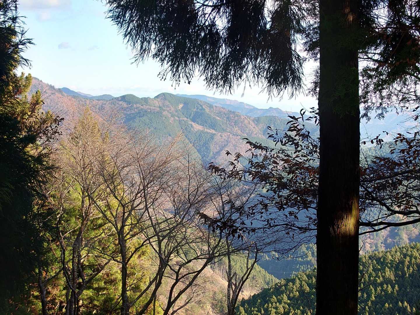春埜山-鳥居沢山 周回コースの写真