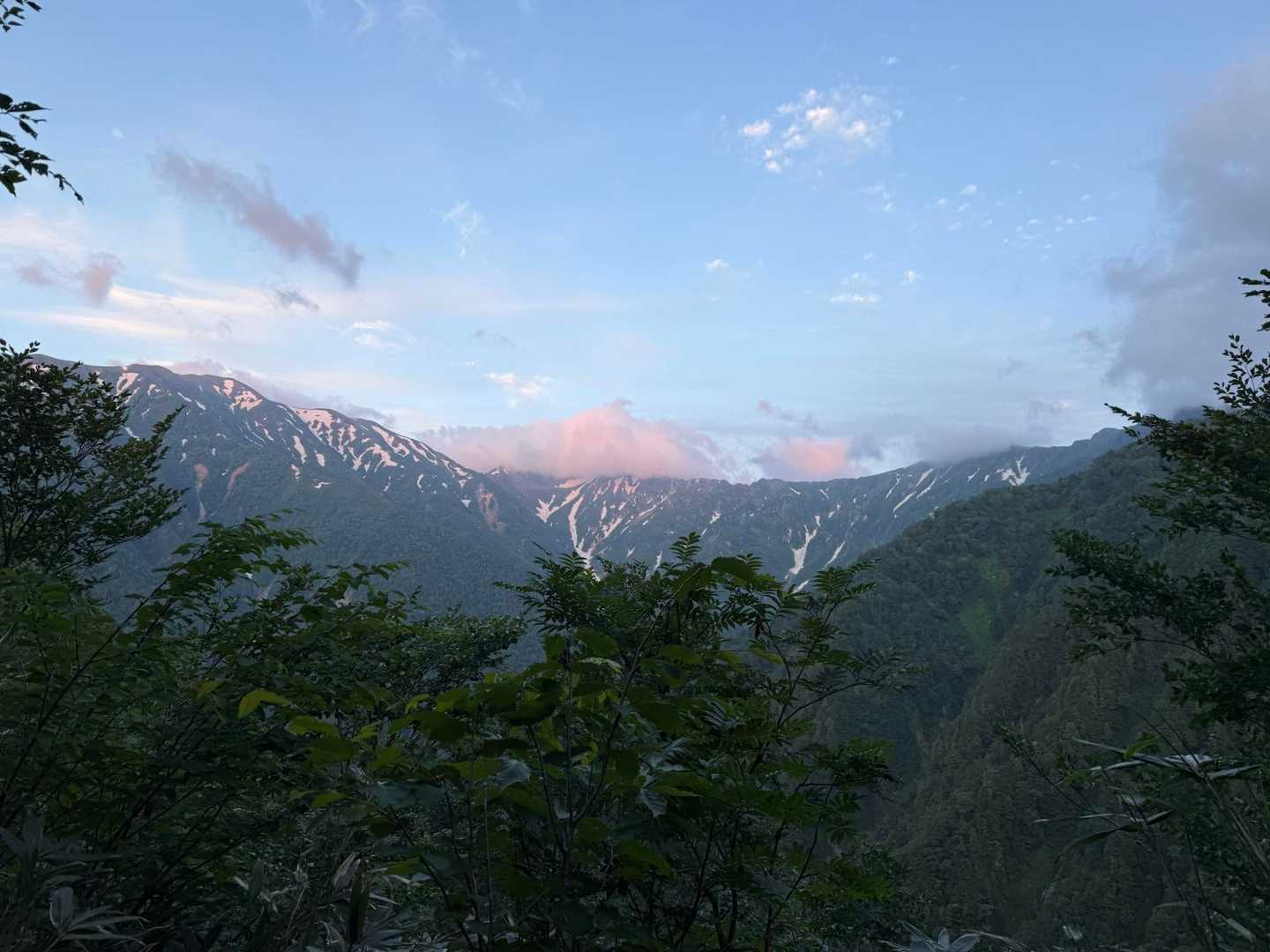 柏原新道登山口-爺ヶ岳 往復コースの写真