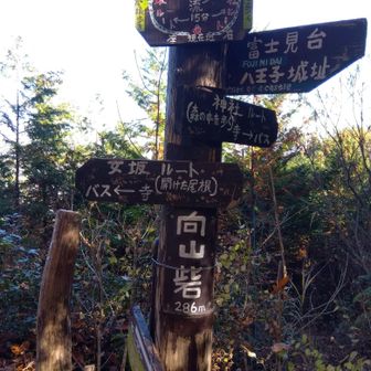 ピーク①向山砦