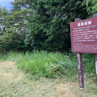 やった！本日目的地の鷹巣山到着。草刈り中なので、写真撮ってすぐ下山開始