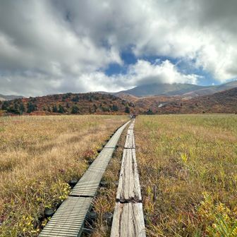 栗駒山はガスの中。気持ち良い木道
満足のうちに下山しました