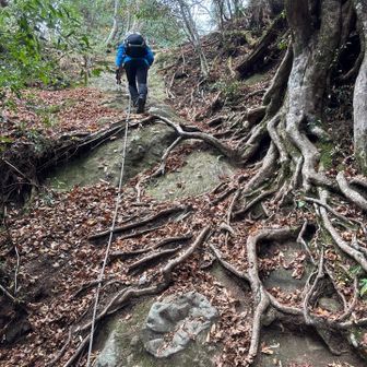 中々で
15時前に下山しないと　絆さん！！予定ありでして