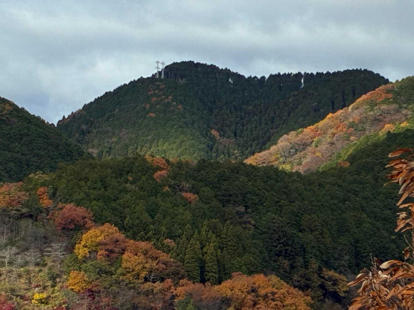山のおもてなし｜箕面・東海自然歩道ハイキングの写真