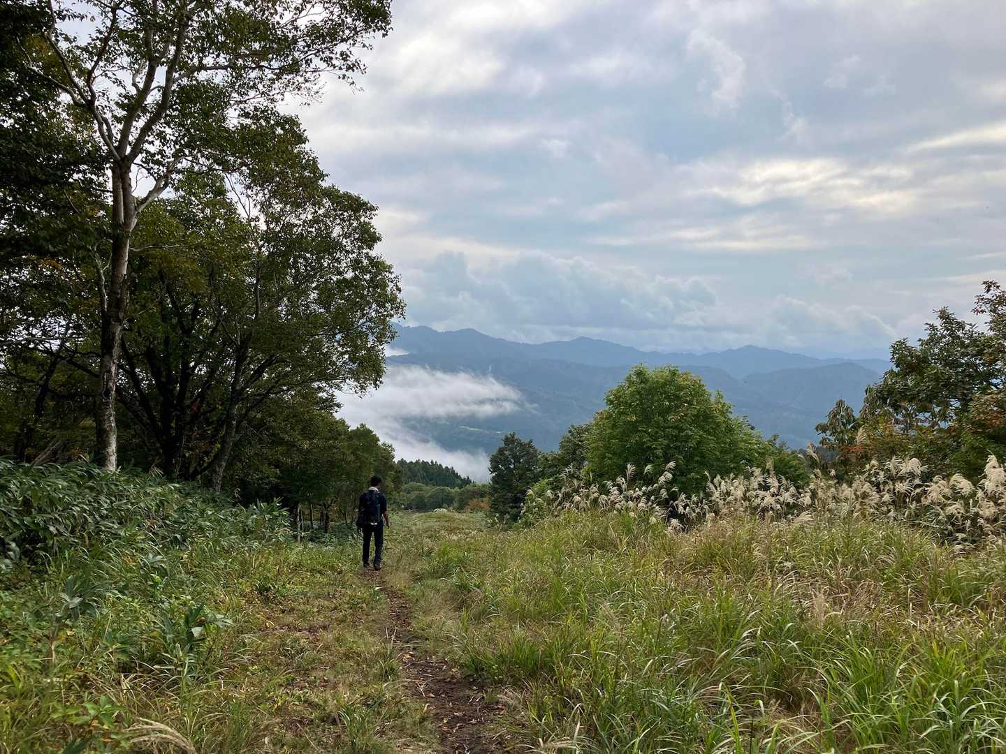 桧峠-大日ヶ岳登山道入口-水後山-鎌ヶ峰-大日ヶ岳 往復コースの写真