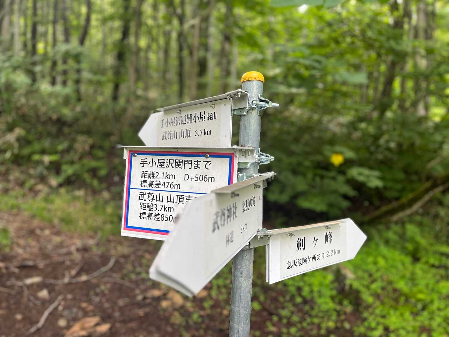 時計回りで武尊山を目指す

この標識は新しく出来たみたい
2度目の山友さんは以前の標識を見落として、反時計回りで登ったって‼️