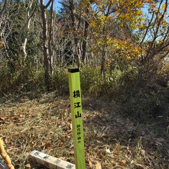 着いた〜標識は手作り✨