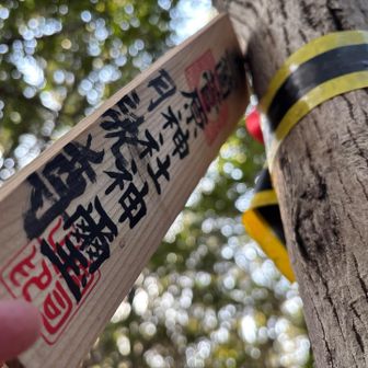 裏は神様だった🙏🏻