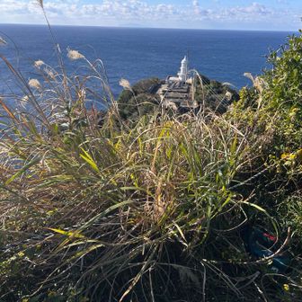 灯台の展望の邪魔になるこの草藪を刈る