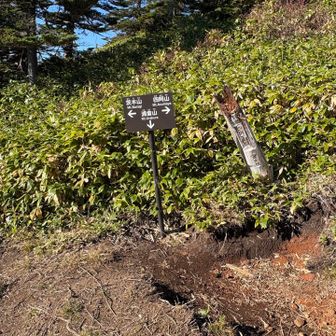 さて、ここまでの軌跡を完全にする為、バラギコースの分岐まで宿題を終わらせに来ました。