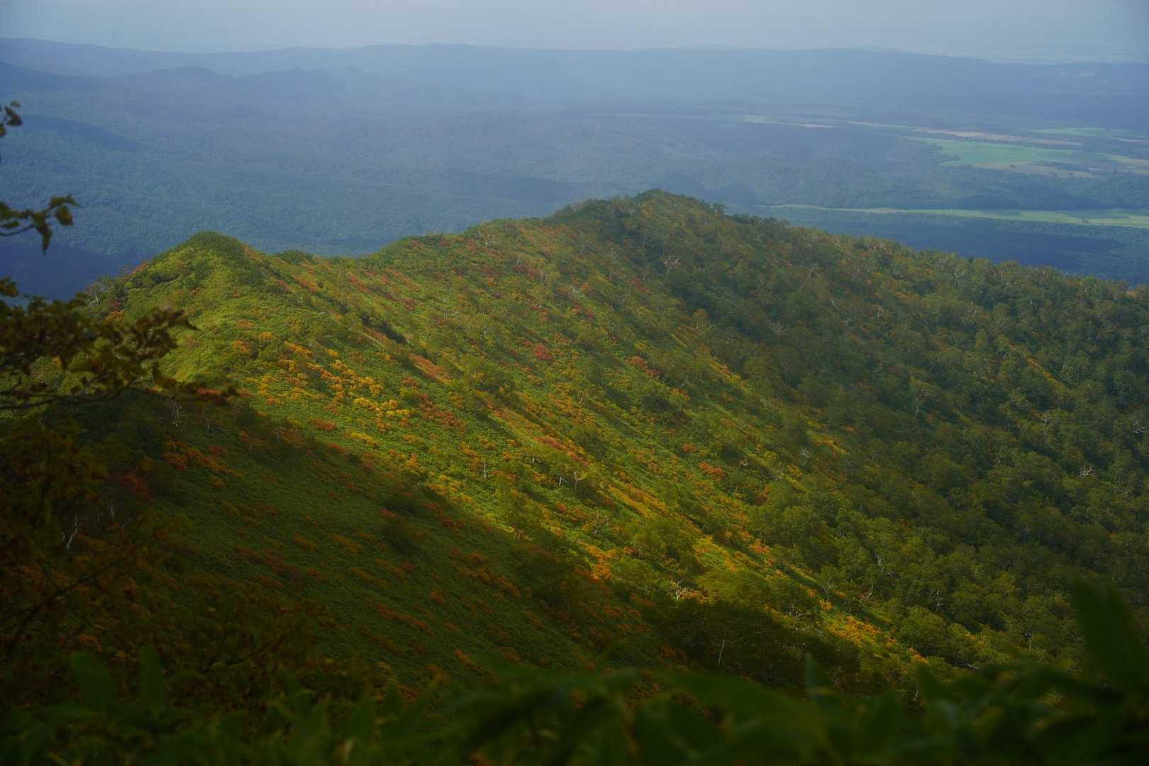 ニセイカウシュッペ山往復 | 切り立つ絶壁「大槍」を眺めながら細長い