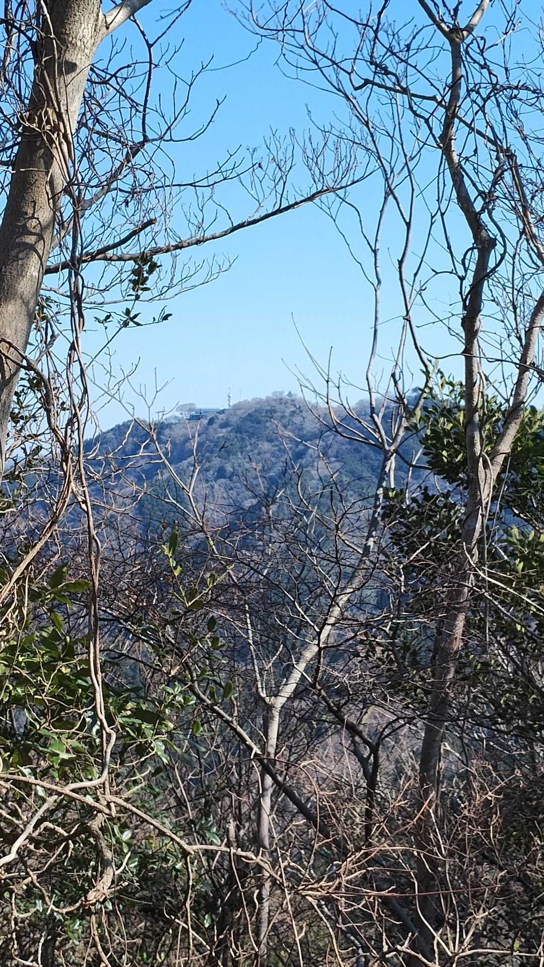 スタートした葛城山を望む