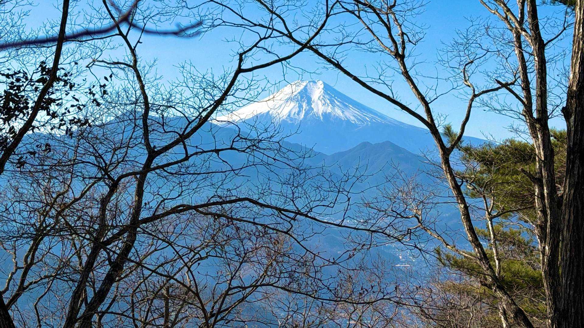 ここでも富士山がお出迎え🗻