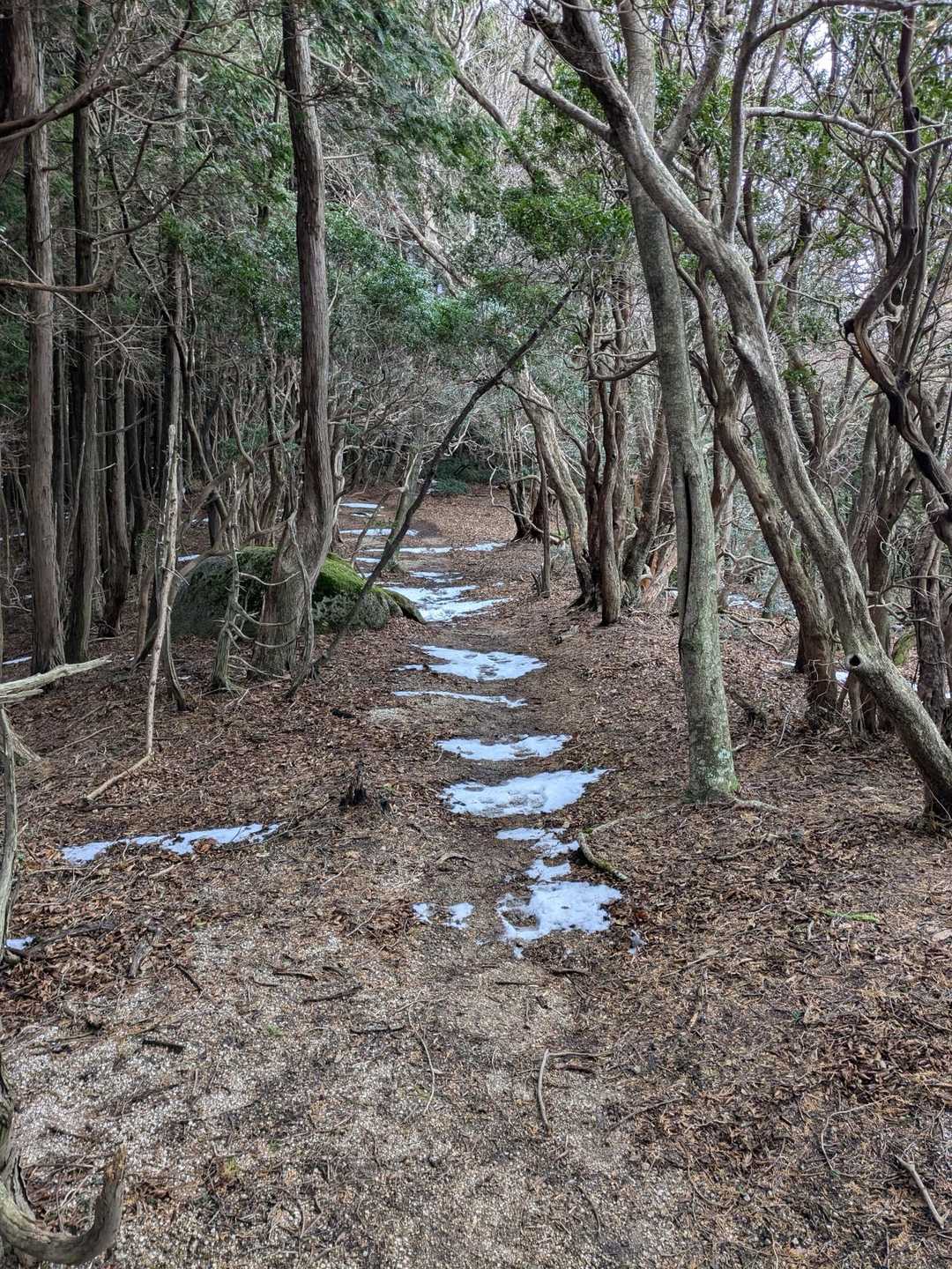 安楽峠-安楽峠登山口-臼杵ヶ岳-小太郎峠-船石-御所平 往復コースの写真