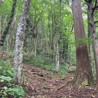 下りで撮影
左　クルソン仏岩経由山頂
右　山頂
