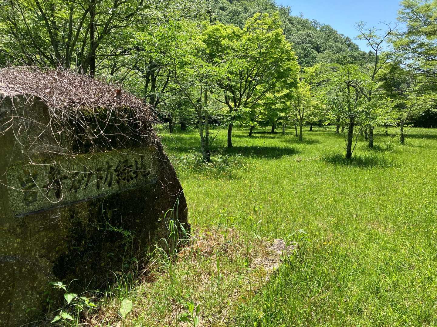 岩舟砂防緑地