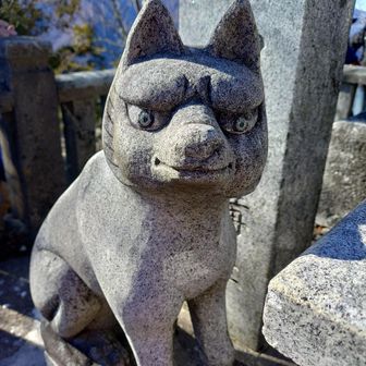 可愛いヤツです😊