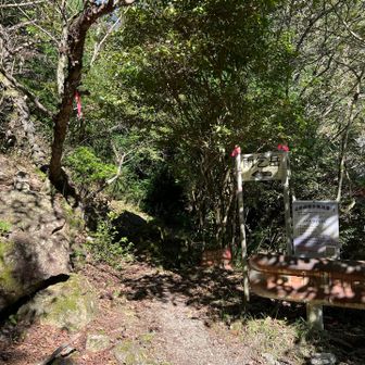 途中危ないとこもあったけど無事下山🫡⛰️
