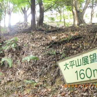 この季節の気温30度で少々バテ気味です。