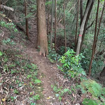 左⬅️にも良き道筋が…♬