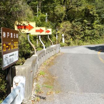 外国人墓地の横を経てドライブウェイに出た。その後大きなカーブを2つ抜けて学習の森前バス停。ここがAdenと呼ばれた場所らしい。