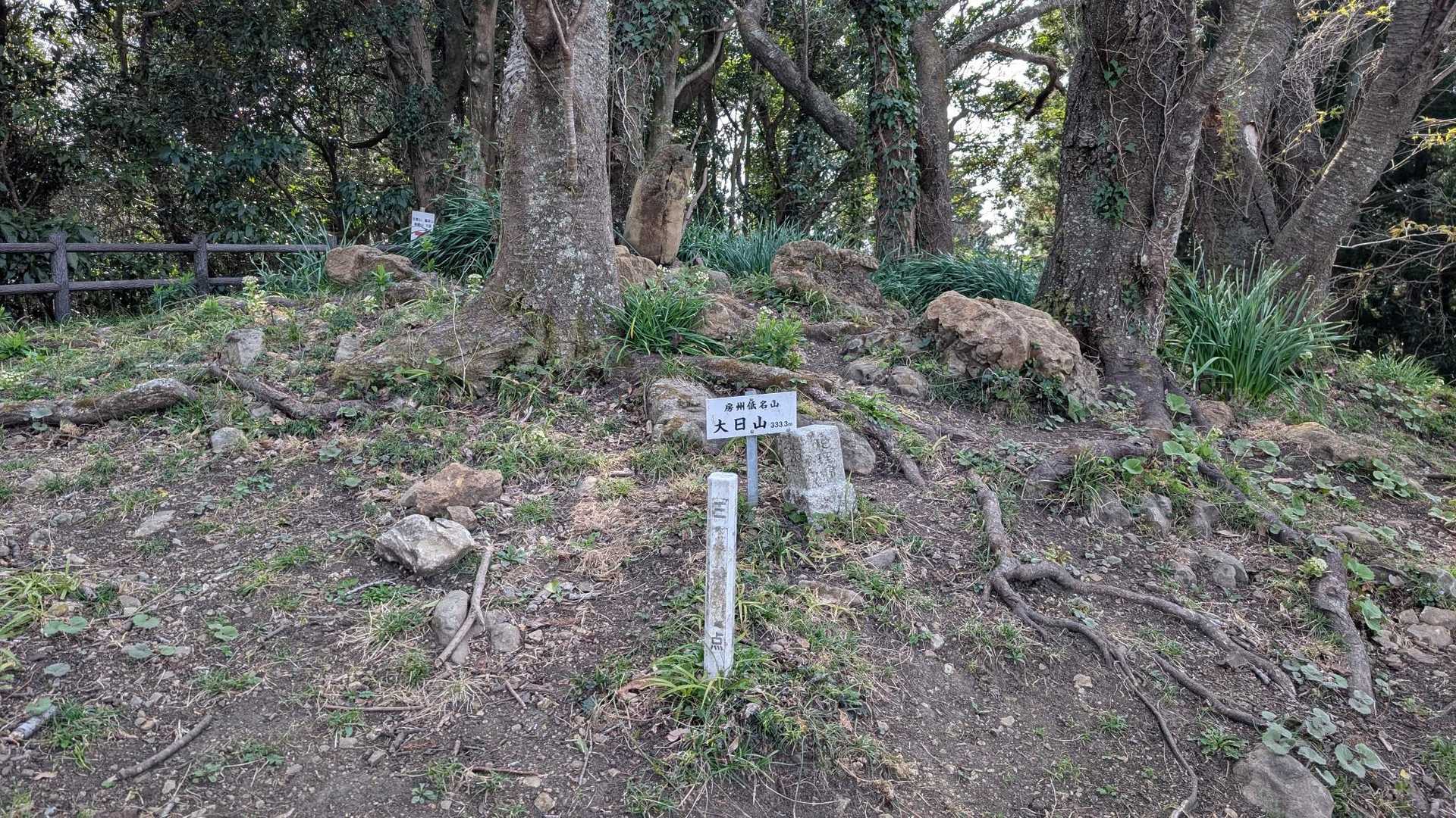 大日山山頂に到着。
四等三角点。