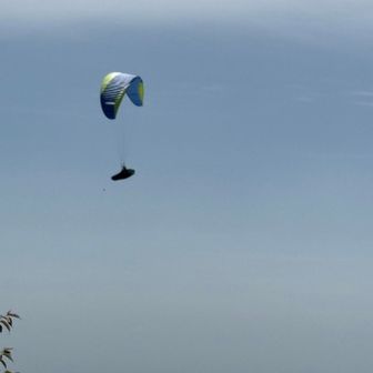 パラグライダー発見！