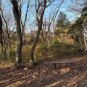 他のハイカーさんたちとは、ときどきすれ違う程度。