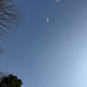 上をみるとパラグライダーだらけ🪂🪂🪂