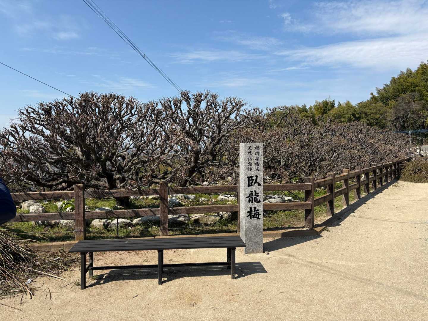 三池山 周回コースの写真