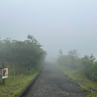 山頂遊歩道はお鉢まで大半が舗道の為
運動靴でも大丈夫かな