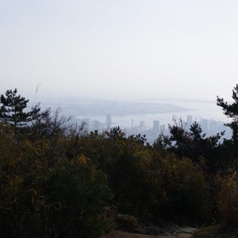 霞んでしまった