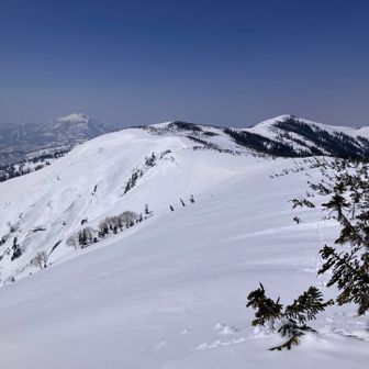 大戸沢岳山頂手前より。