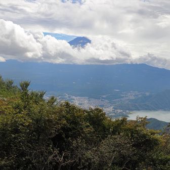 お昼ご飯を頂いていると少し雲が途切れ富士山山頂が顔を出した。
うん、これなら富士山だとわかる。ｗ