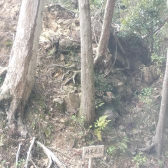 登山口に茶屋跡が

遺跡はありません