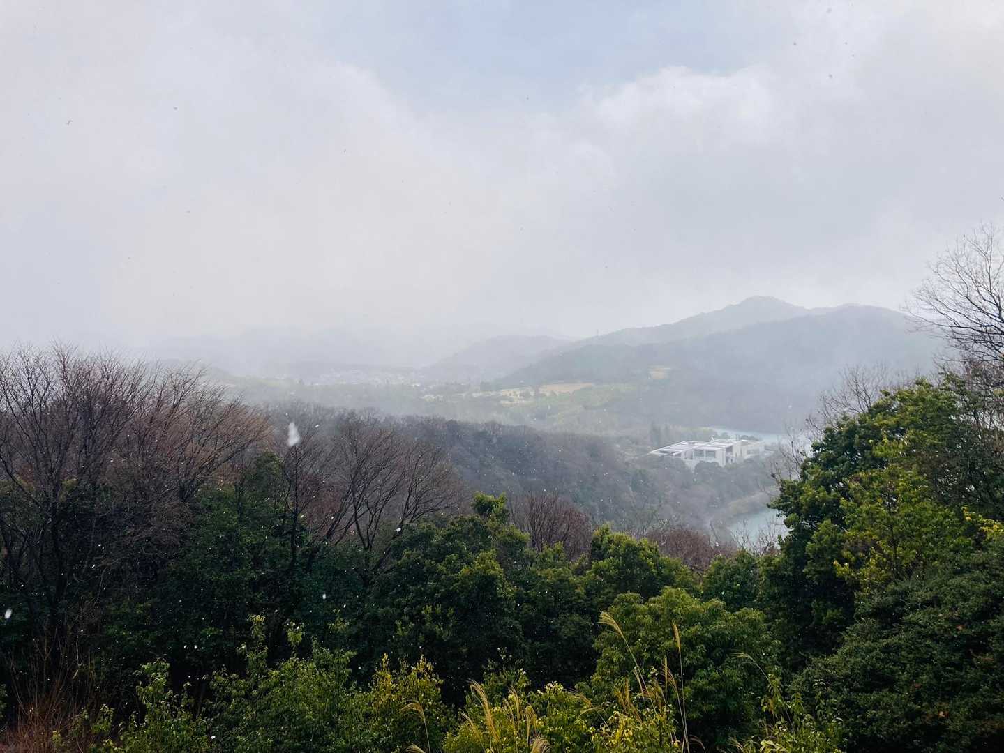 中央広場-桜山 周回コースの写真